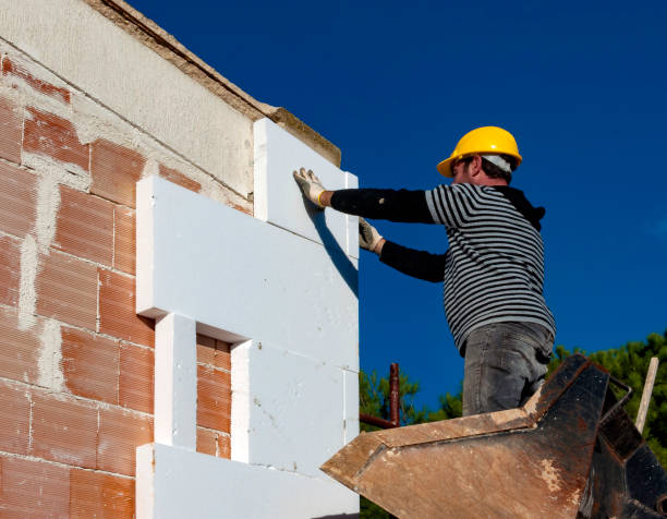 Best Specialty Insulation in St Johns, AZ