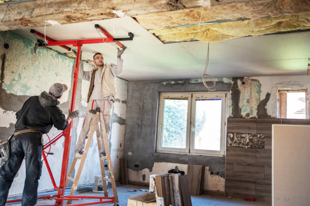 Best Insulation Installation Services in St Johns, AZ