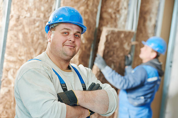 Best Insulation Maintenance and Repair in St Johns, AZ
